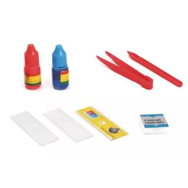 Kids’ Microscope Science Kit (Ages 3–12, 300x Zoom) - kidscars.ie - [Kids Electric Cars]